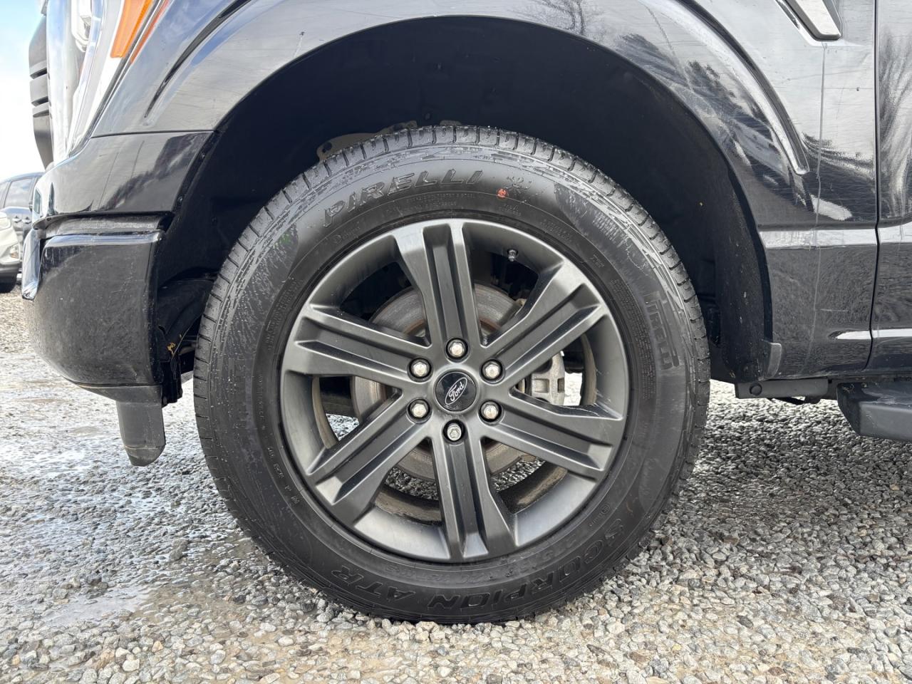 2022 Ford F-150 XLT ~3.5 L ECO-BOOST~REMOTE START~COMING SOON! Photo