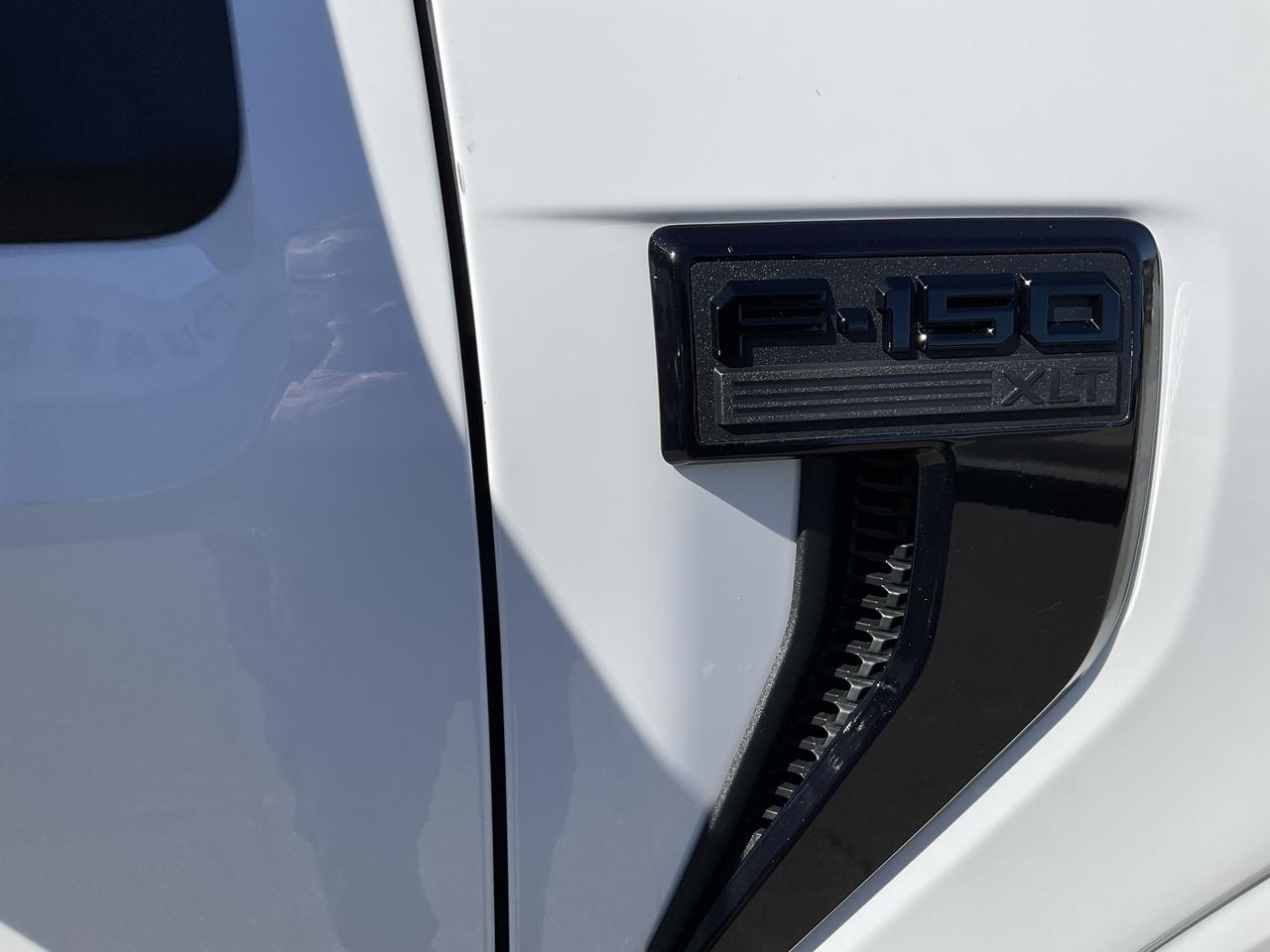 2026 Ford F-150 XLT Photo4