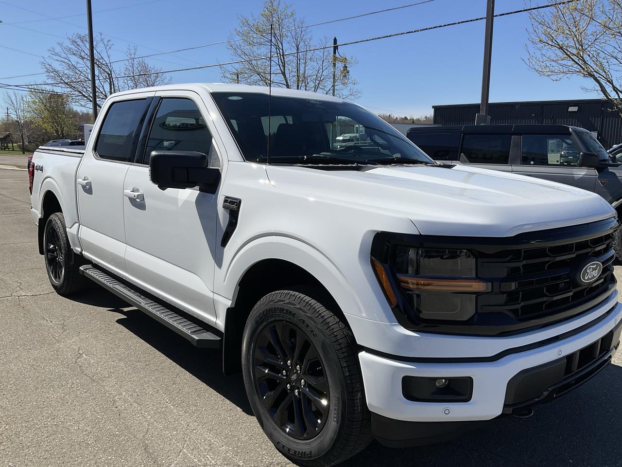 2026 Ford F-150 XLT Photo2