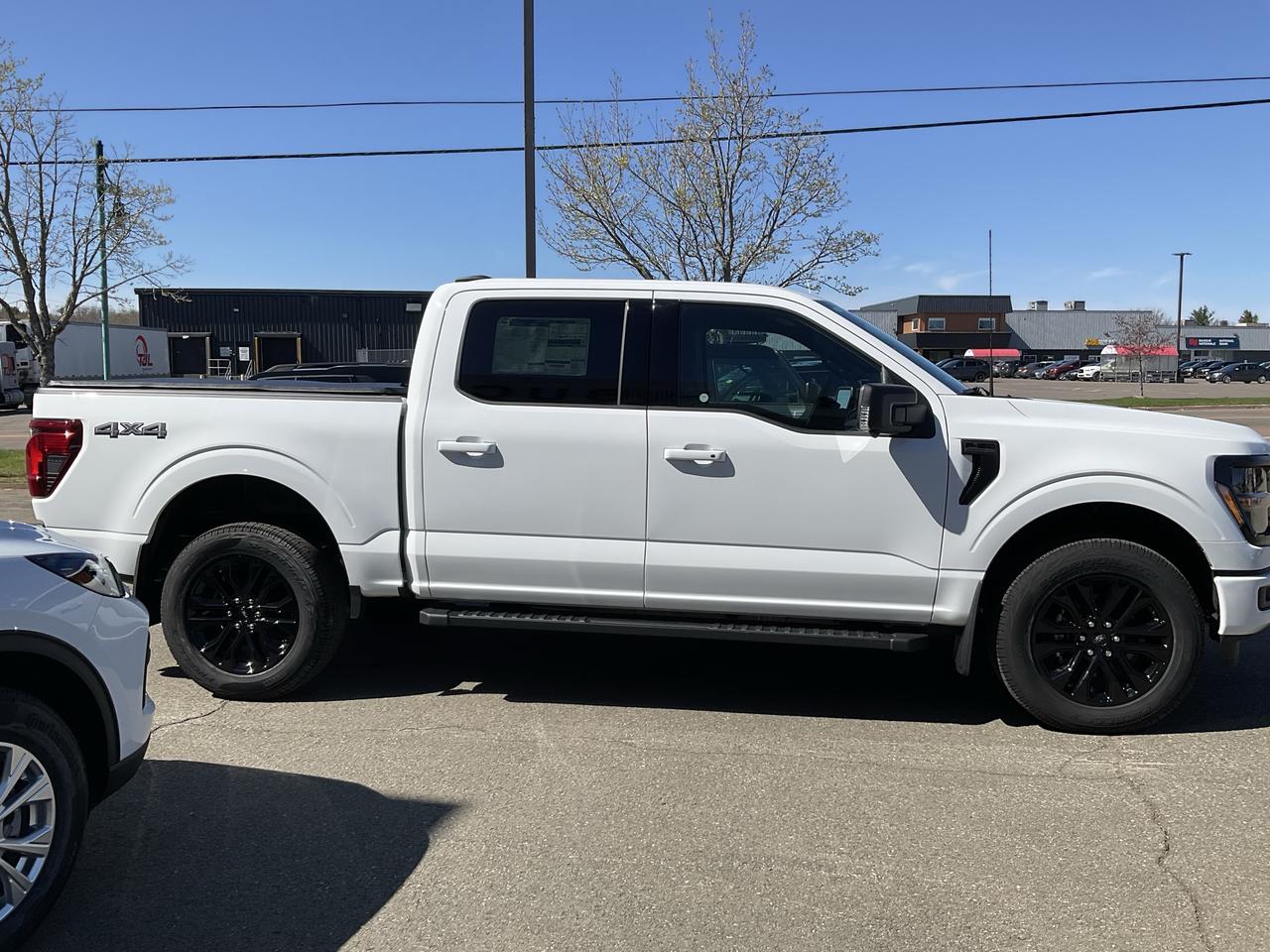 2026 Ford F-150 XLT Photo3
