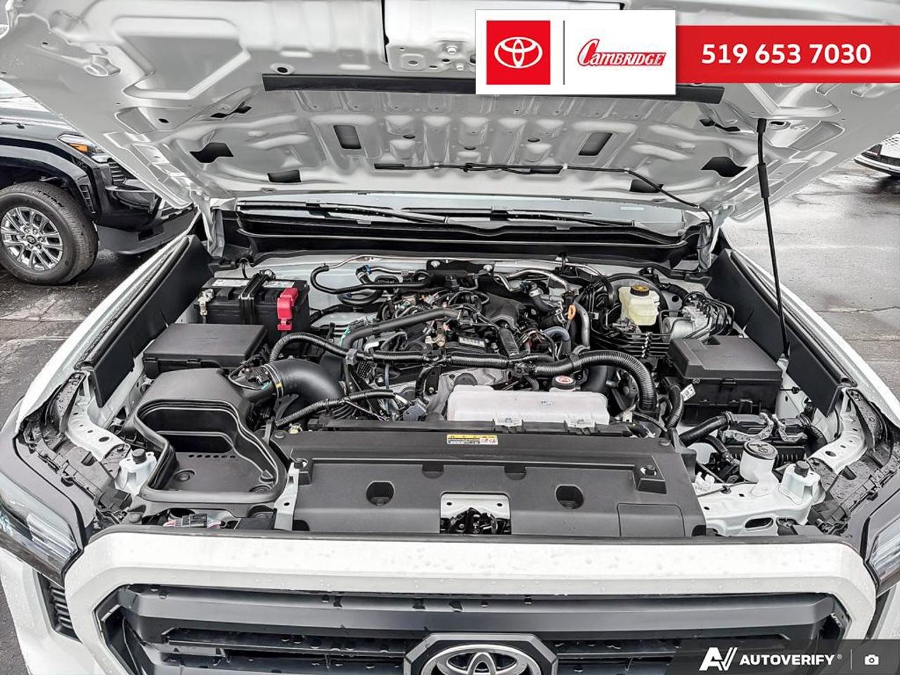 2026 Toyota Tacoma  Photo