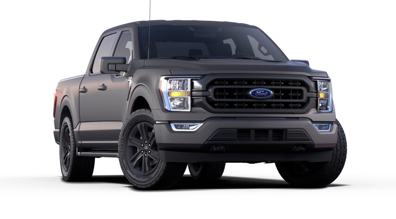 2021 Ford F-150 XLT 4WD SuperCrew 5.5' Box Photo3