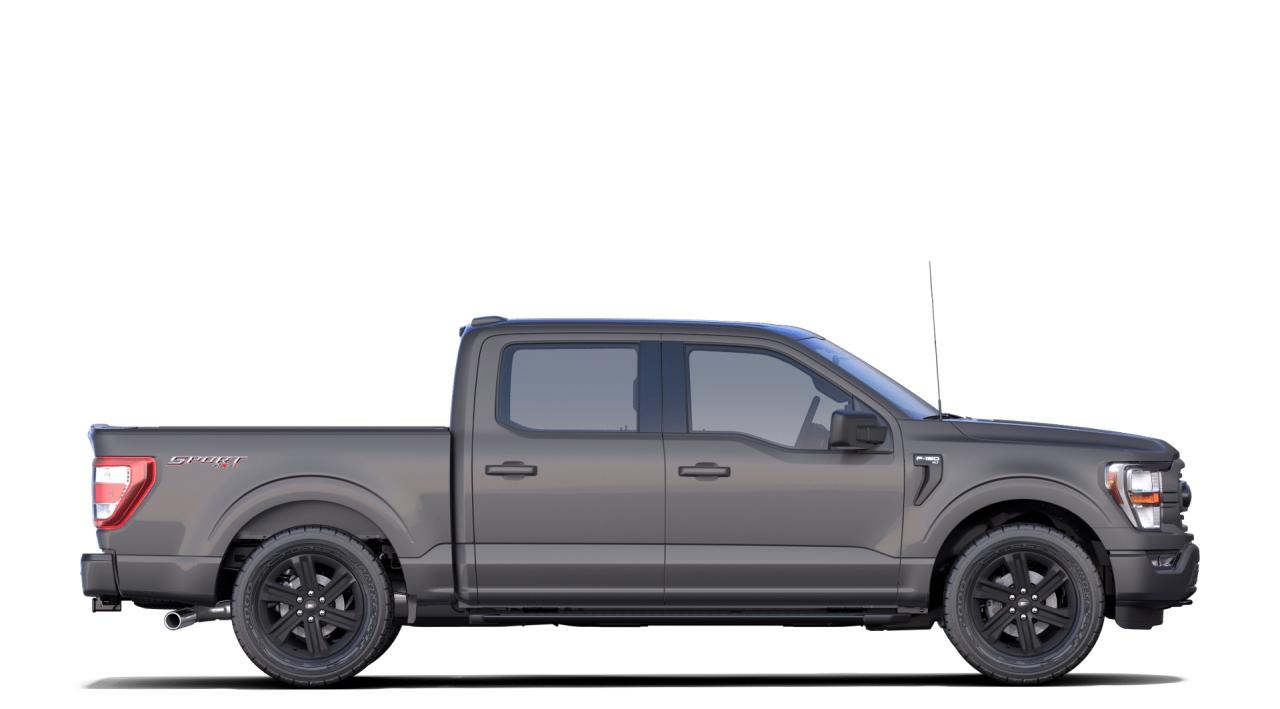 2021 Ford F-150 XLT 4WD SuperCrew 5.5' Box Photo4