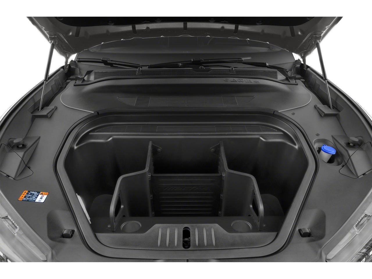 2021 Ford Mustang Mach-E Premium AWD Photo