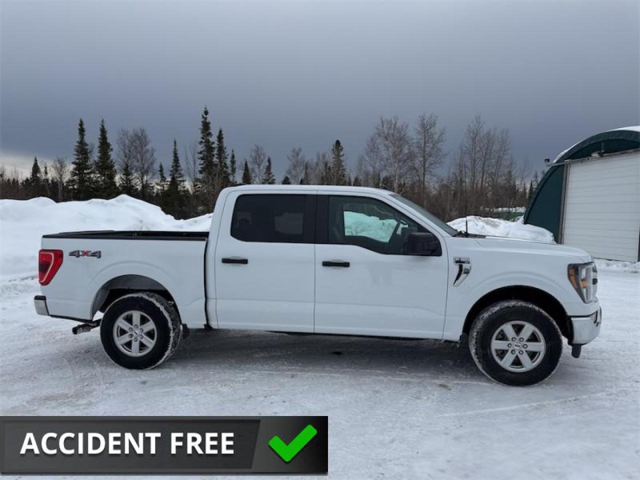 2023 Ford F-150 XLT  - Non-smoker - Local - One owner - $349 B/W Photo