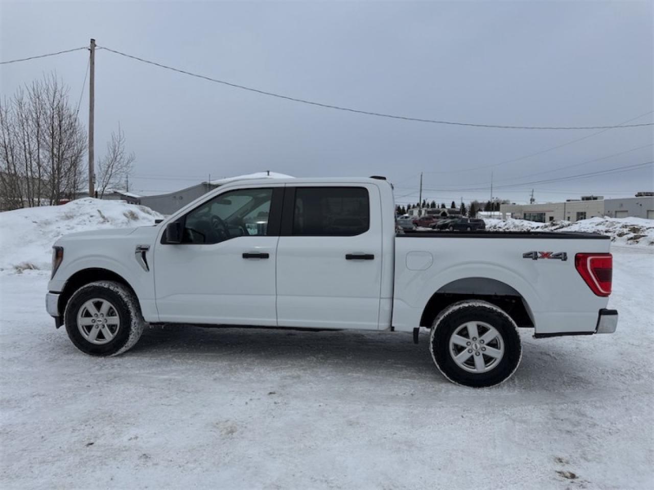 2023 Ford F-150 XLT  - Non-smoker - Local - One owner - $349 B/W Photo