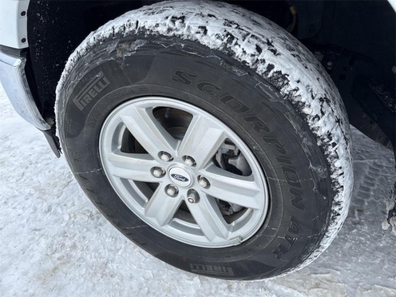 2023 Ford F-150 XLT  - Non-smoker - Local - One owner - $349 B/W Photo