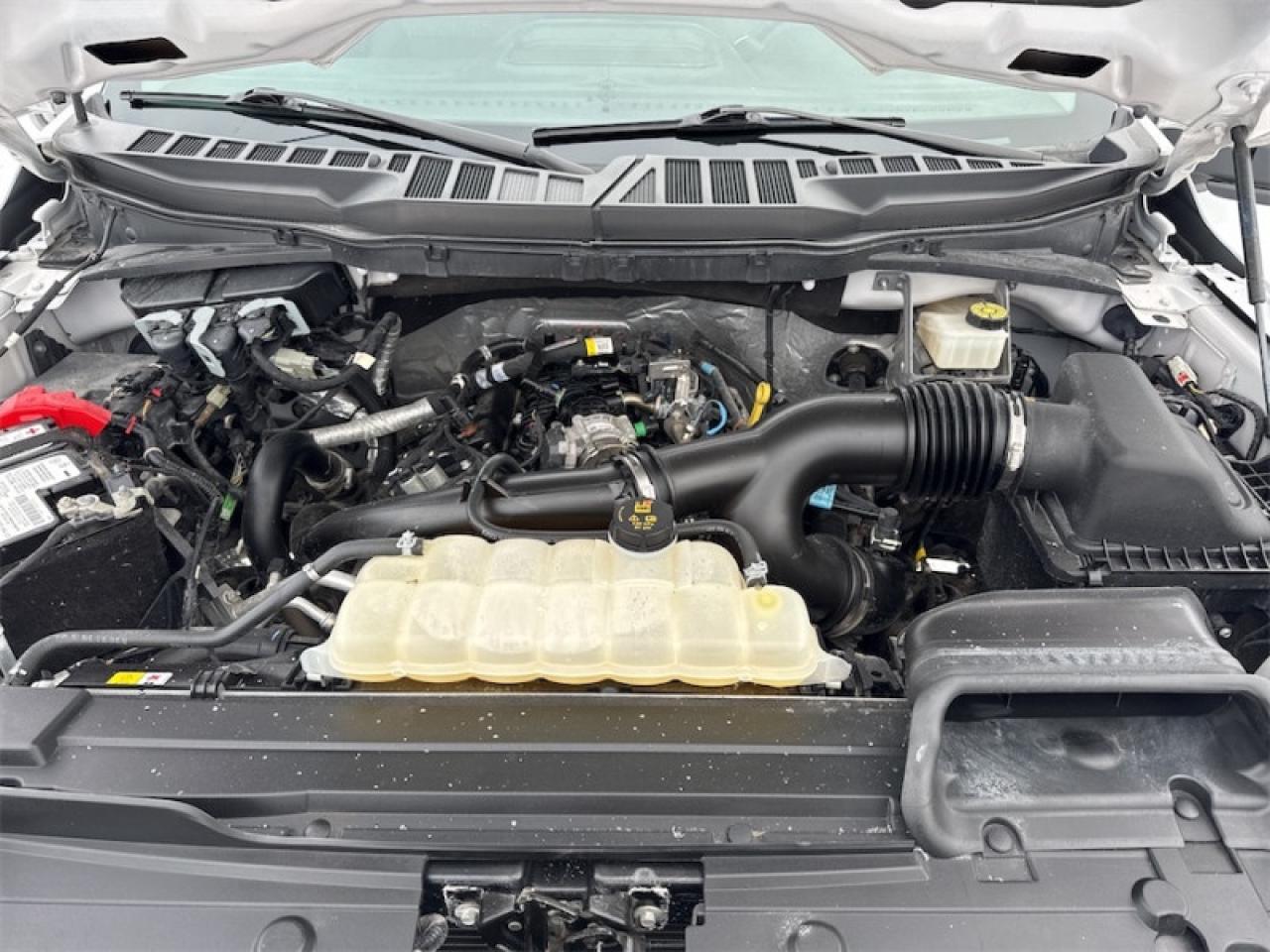 2023 Ford F-150 XLT  - Non-smoker - Local - One owner - $349 B/W Photo