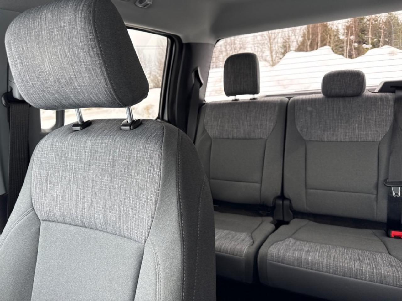 2023 Ford F-150 XLT  - Non-smoker - Local - One owner - $349 B/W Photo