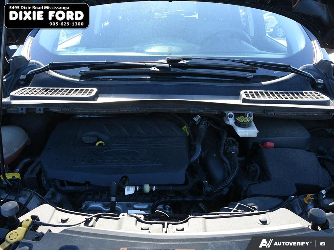 2017 Ford Escape SE Photo