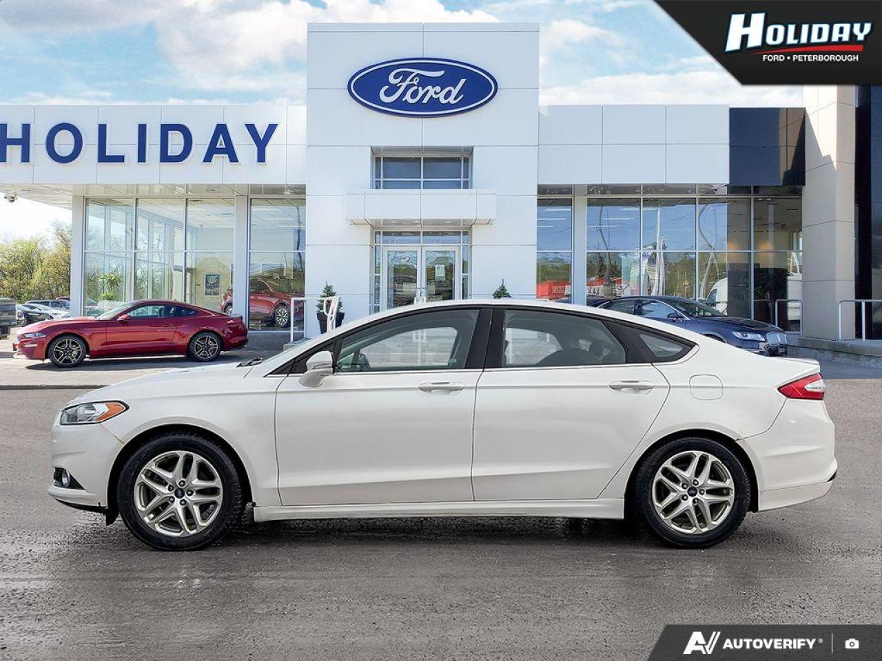 2013 Ford Fusion SE Photo