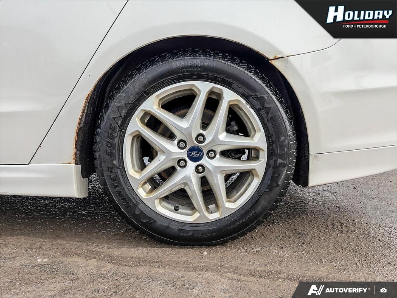 2013 Ford Fusion SE Photo