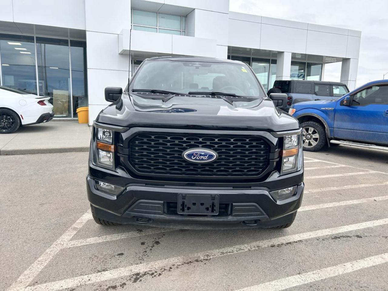 2023 Ford F-150 XL Photo