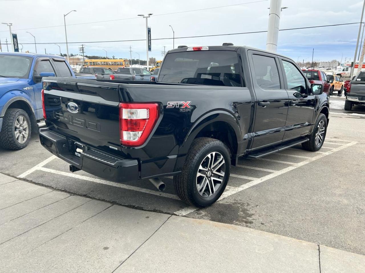 2023 Ford F-150 XL Photo