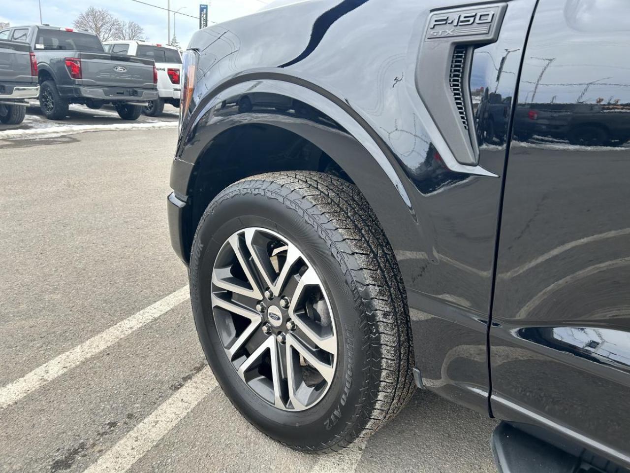 2023 Ford F-150 XL Photo