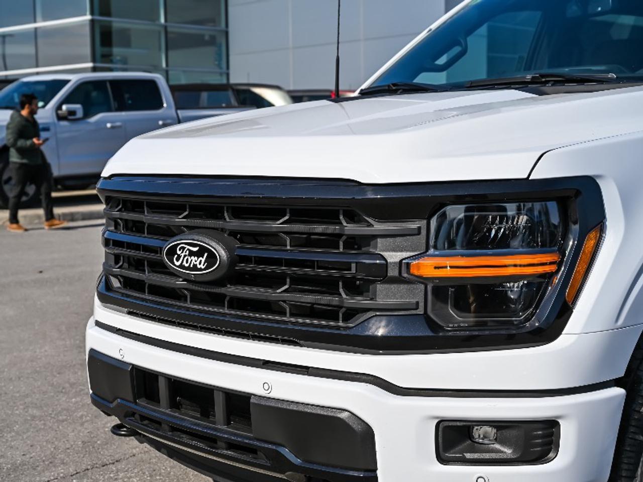 2026 Ford F-150 XLT Photo