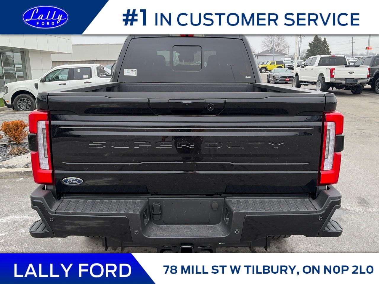 2026 Ford F-250 Super Duty SRW PLATINUM 4WD CREW CAB 6.75' BOX Photo