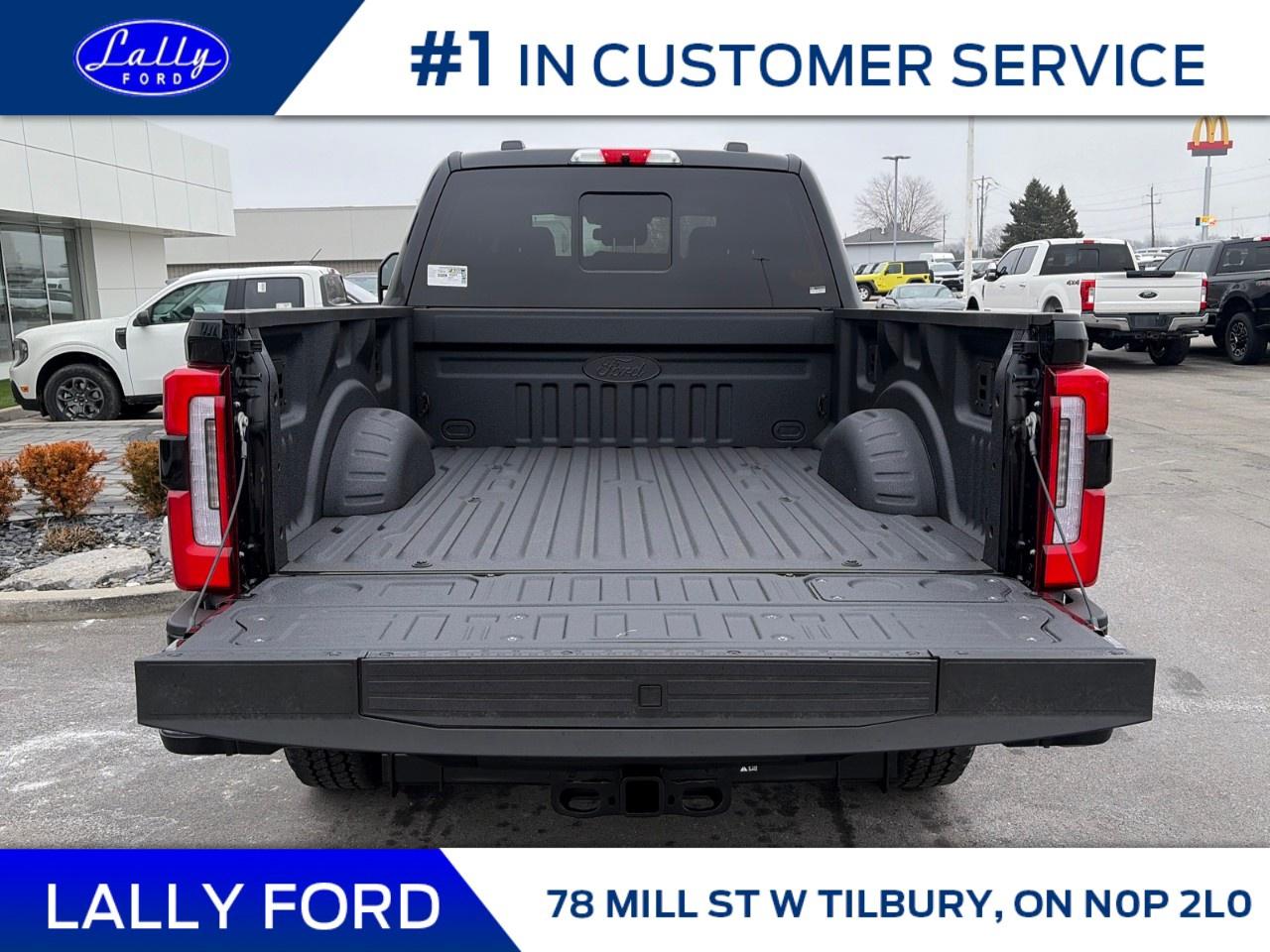 2026 Ford F-250 Super Duty SRW PLATINUM 4WD CREW CAB 6.75' BOX Photo