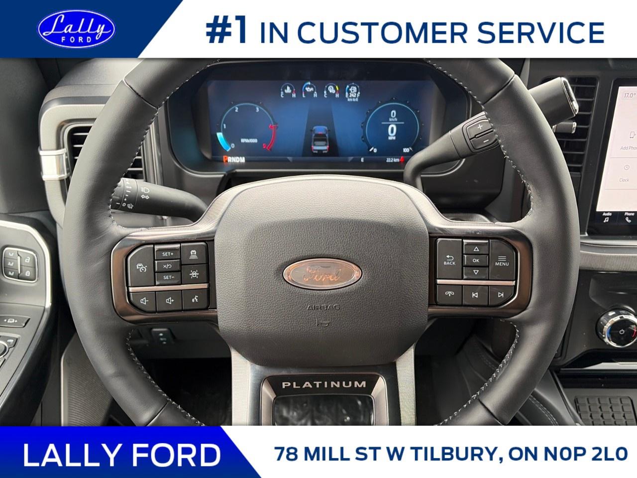 2026 Ford F-250 Super Duty SRW PLATINUM 4WD CREW CAB 6.75' BOX Photo