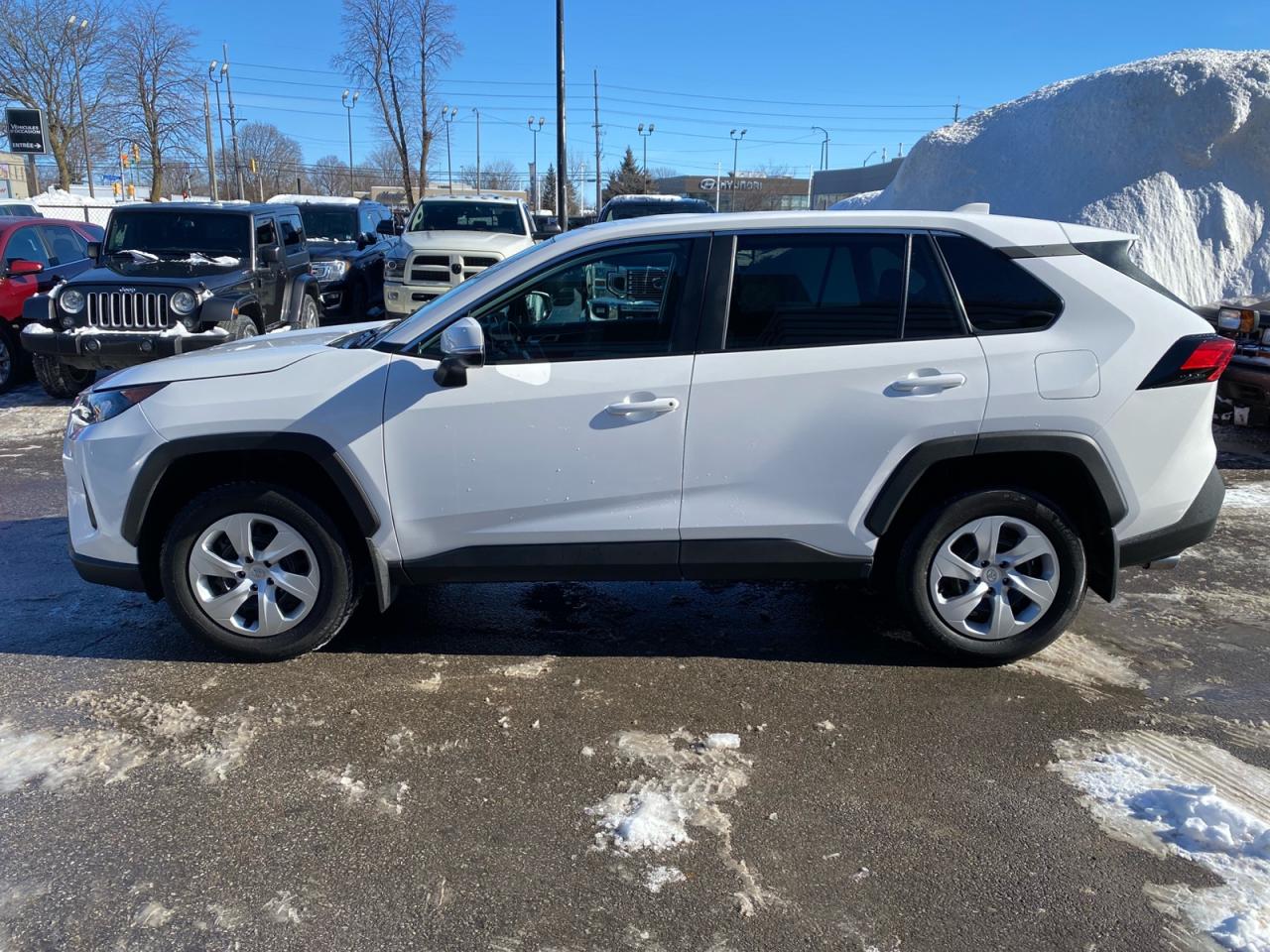 2024 Toyota RAV4 LE | AWD | Apple CarPlay Photo