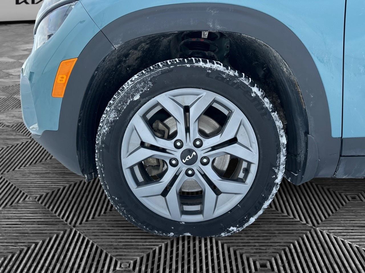 2025 Kia Seltos EX AWD Photo