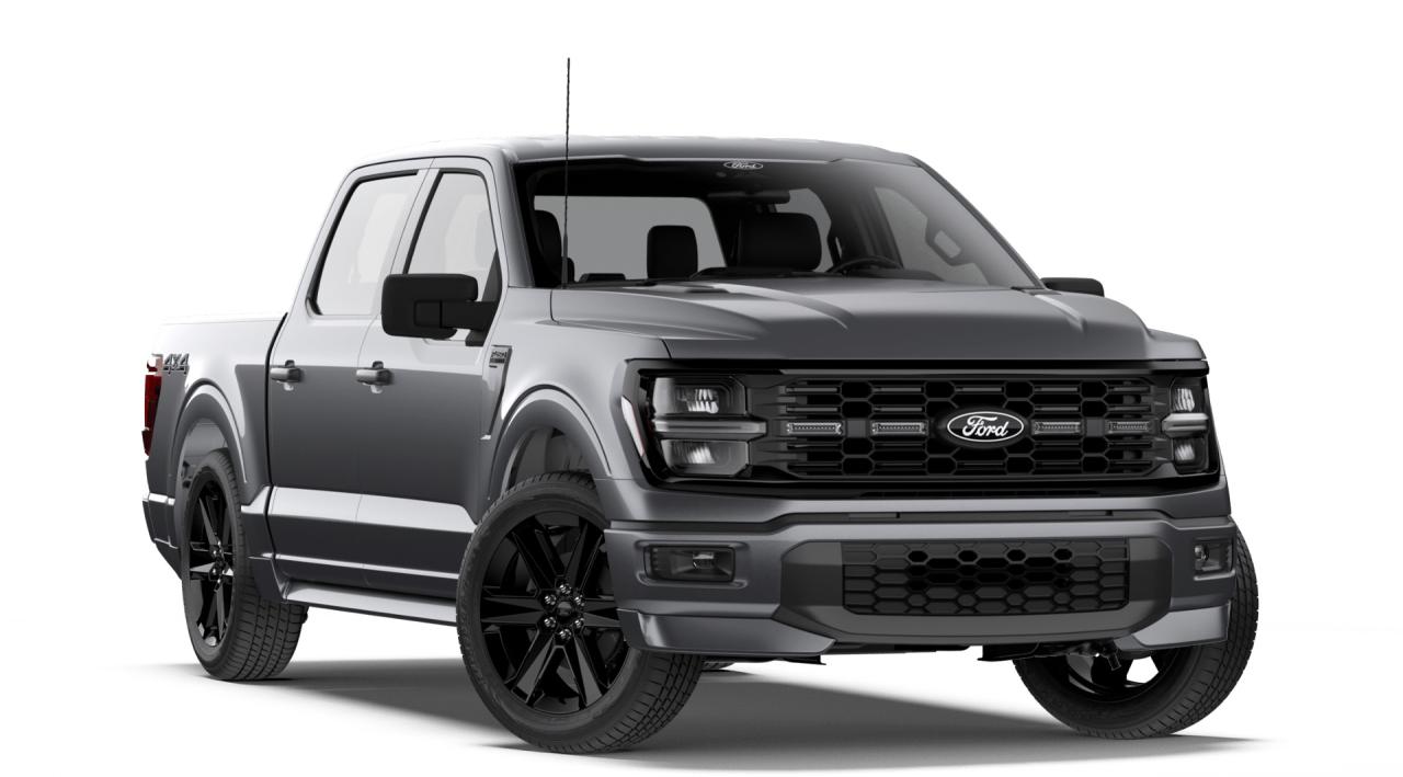 2026 Ford F-150 STX® Photo3
