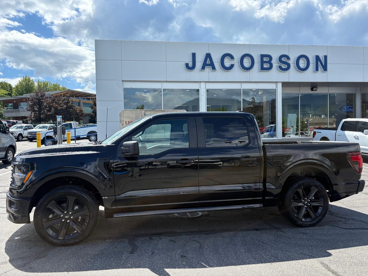 2026 Ford F-150 STX Photo1