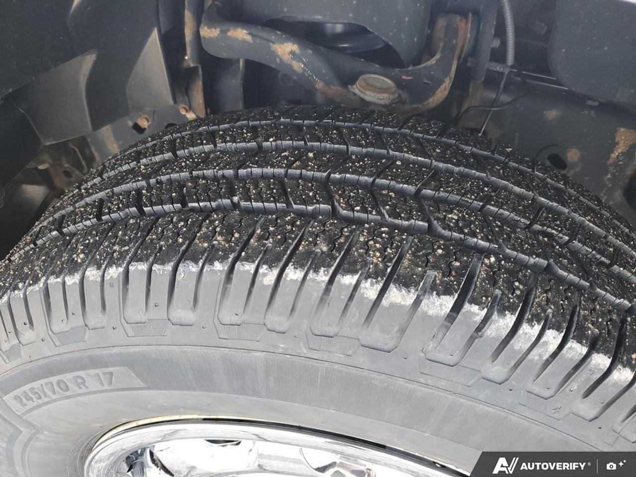 2019 Ford F-150 XL 2WD Reg Cab 8' Box Photo