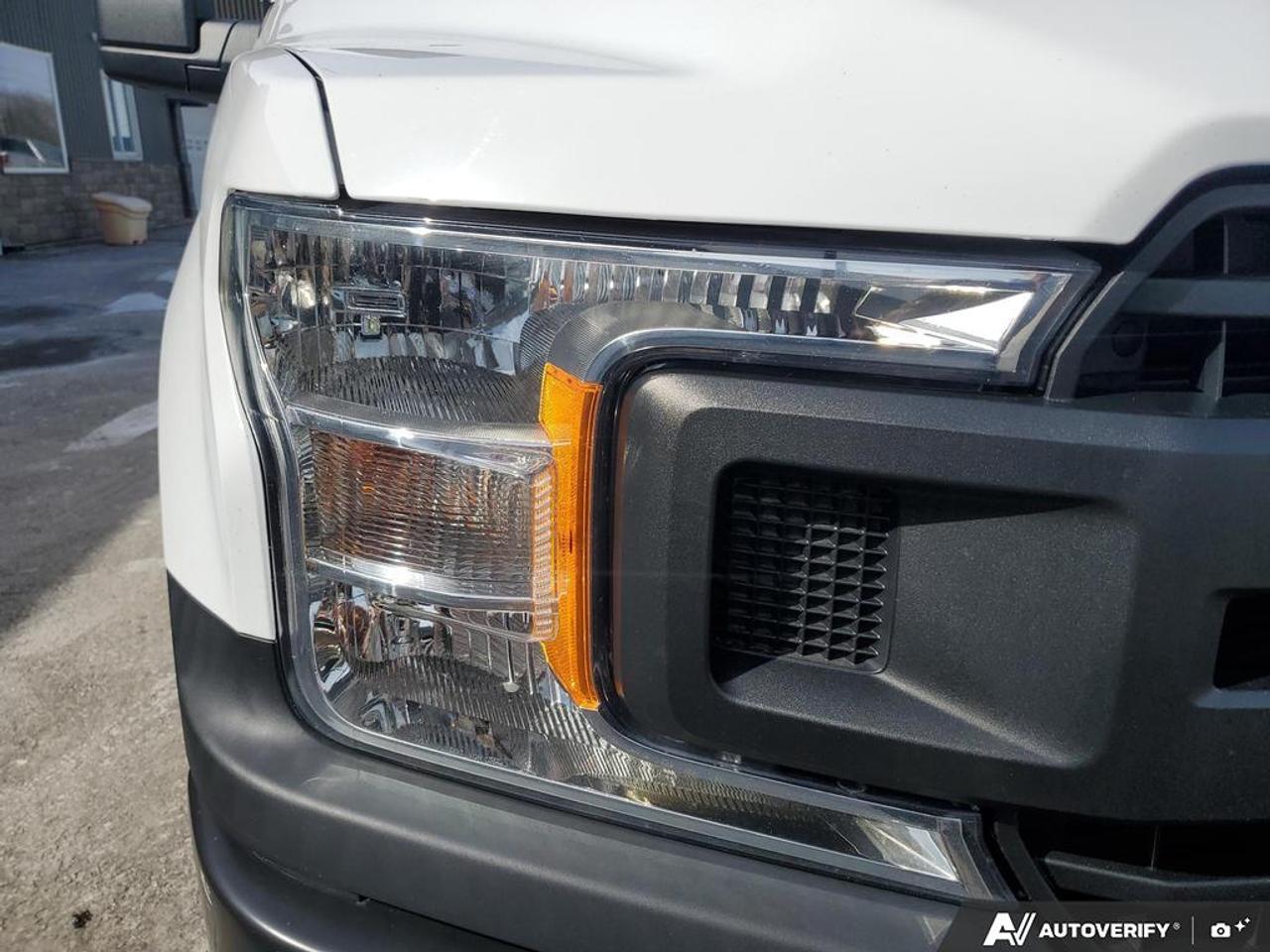 2019 Ford F-150 XL 2WD Reg Cab 8' Box Photo