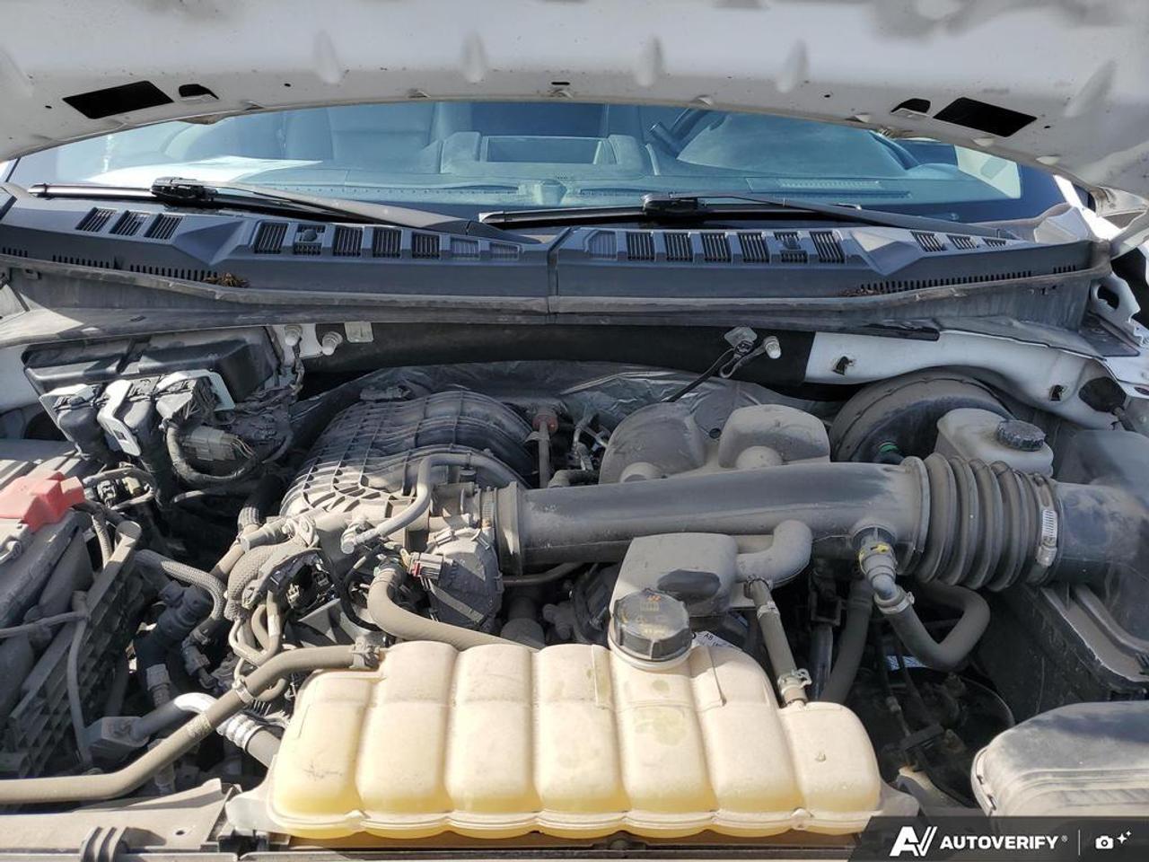 2019 Ford F-150 XL 2WD Reg Cab 8' Box Photo