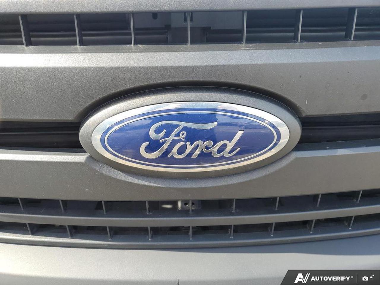 2019 Ford F-150 XL 2WD Reg Cab 8' Box Photo