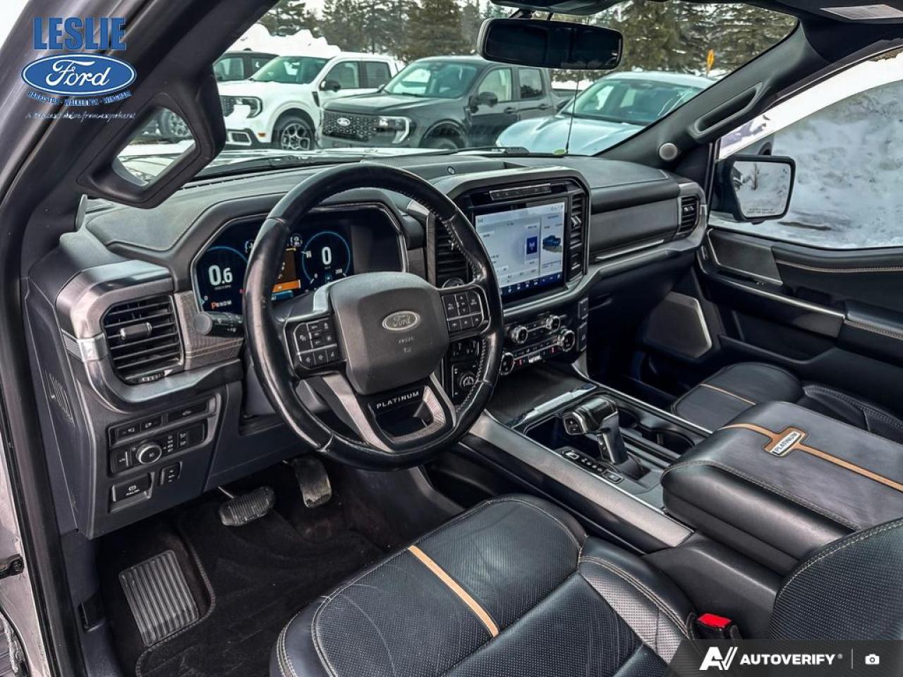 2021 Ford F-150 Platinum 4WD SuperCrew 5.5' Box Photo
