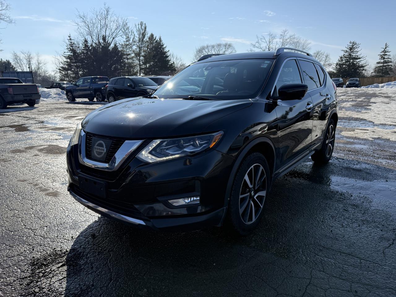 2017 Nissan Rogue SL Platinum AWD Photo