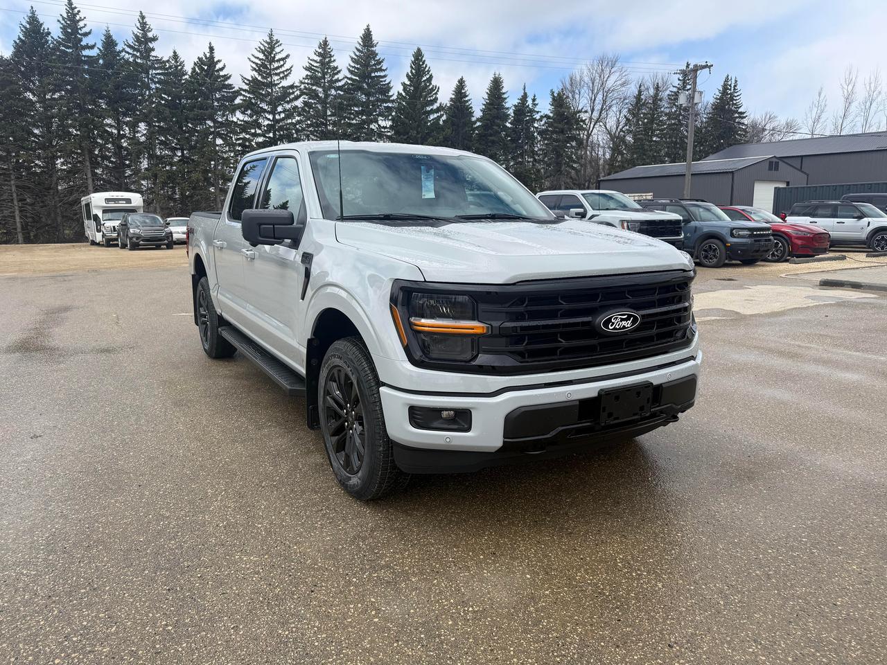 2026 Ford F-150 XLT 4WD SuperCrew 5.5' Box Photo1