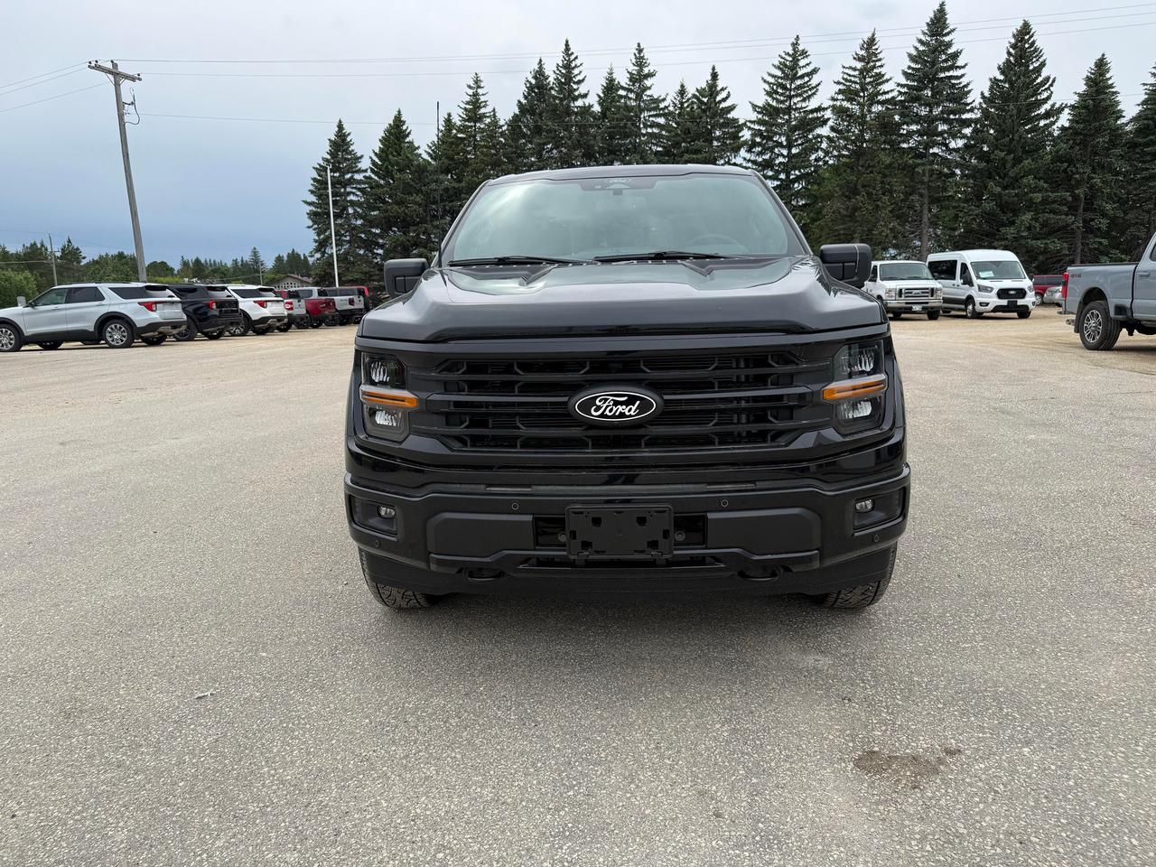 2026 Ford F-150 XLT 4WD SuperCrew 6.5' Box Photo2