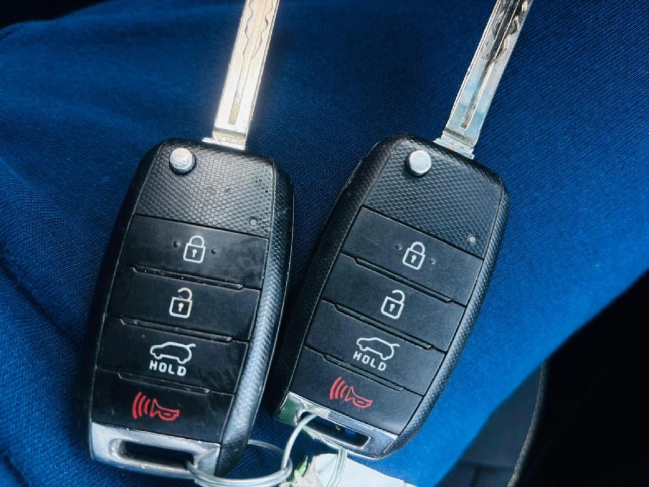 2015 Kia Soul 5dr Wagon Automatic EX+ Photo