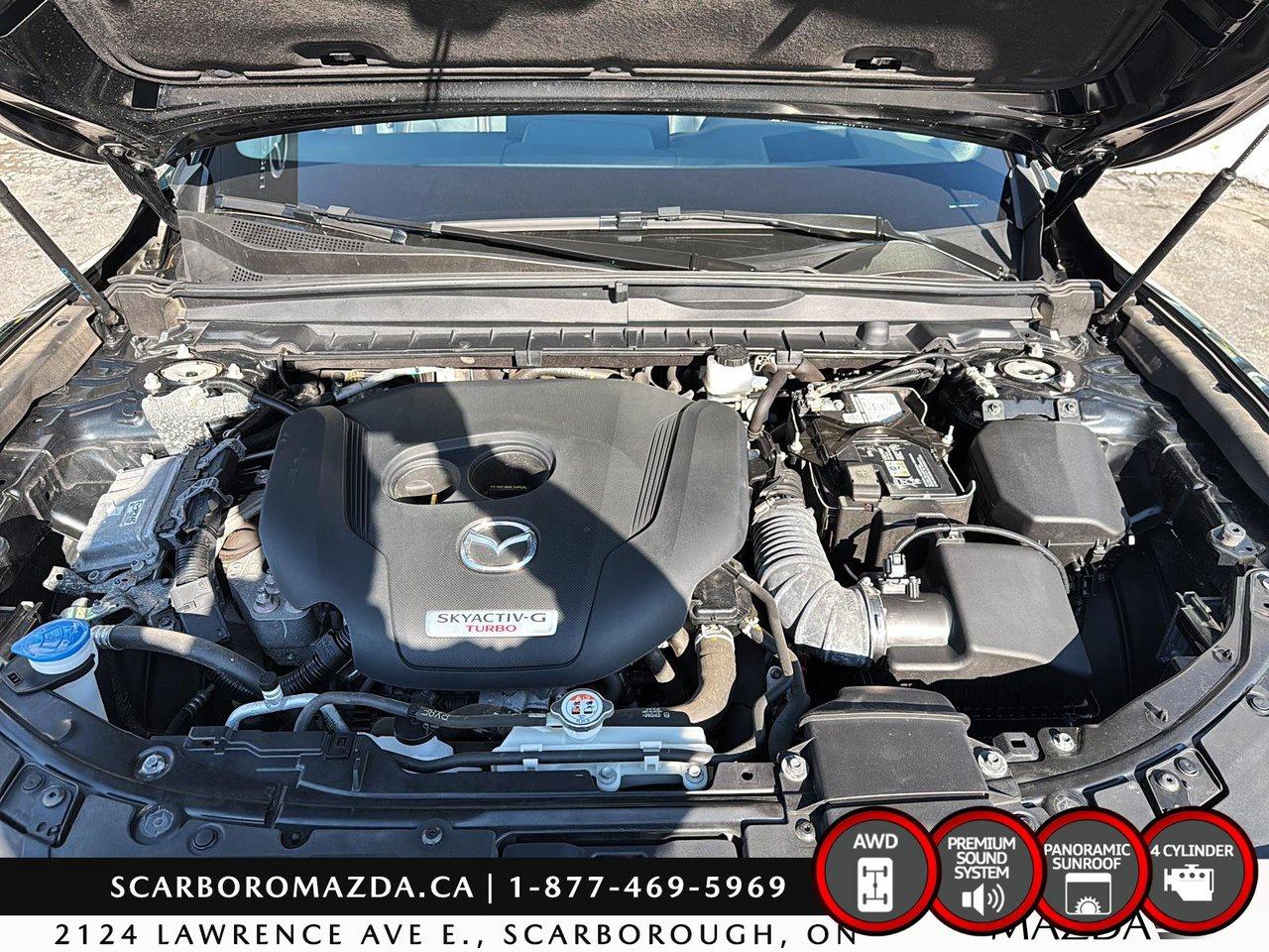 2023 Mazda CX-50 GT W/TURBO Photo