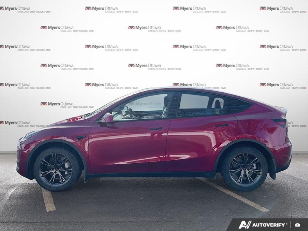 2025 Tesla Model Y Long Range  TESLA MODEL Y LONG RANGE Photo