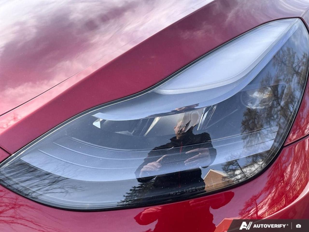 2025 Tesla Model Y Long Range  TESLA MODEL Y LONG RANGE Photo