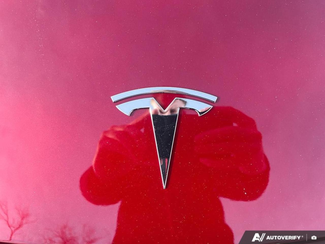 2025 Tesla Model Y Long Range  TESLA MODEL Y LONG RANGE Photo