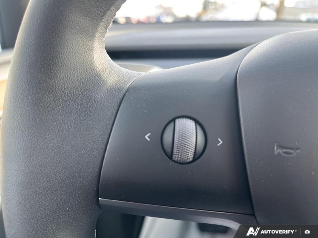 2025 Tesla Model Y Long Range  TESLA MODEL Y LONG RANGE Photo