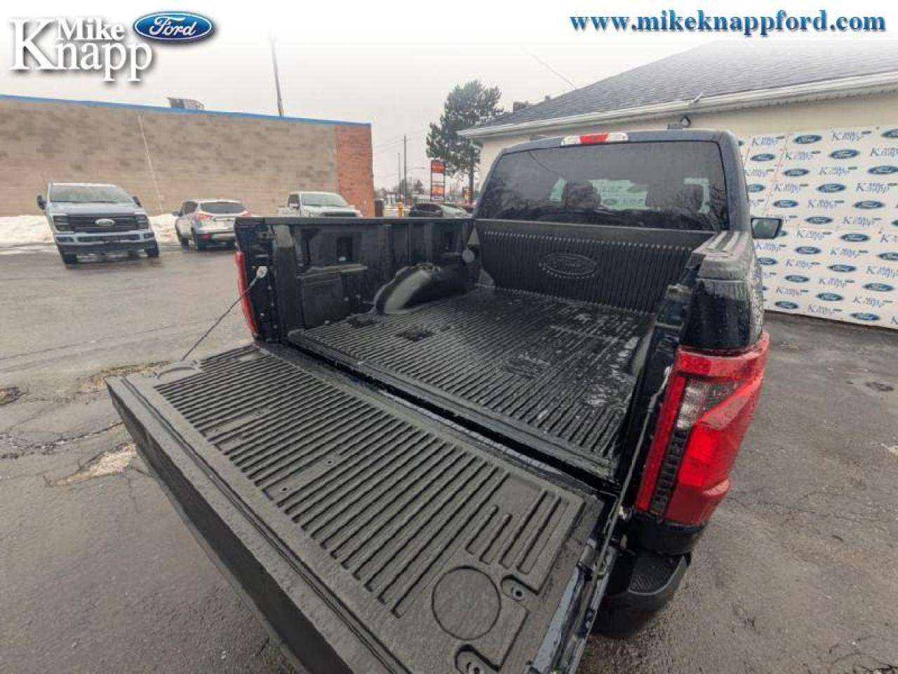 2025 Ford F-150 XLT Photo