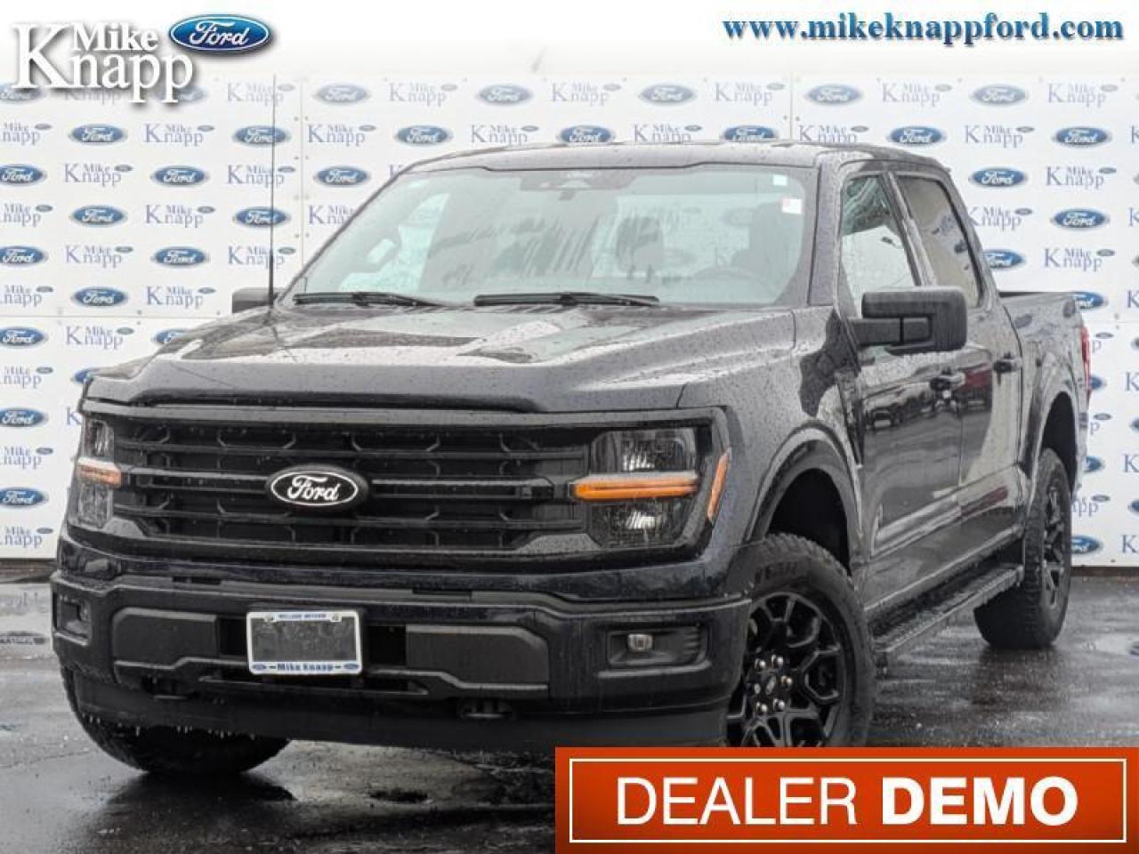 2025 Ford F-150 XLT Photo