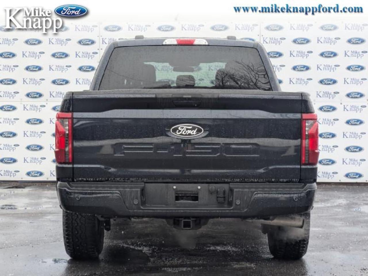 2025 Ford F-150 XLT Photo