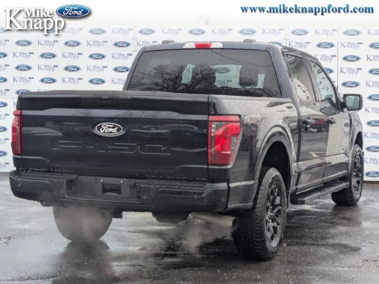 2025 Ford F-150 XLT Photo