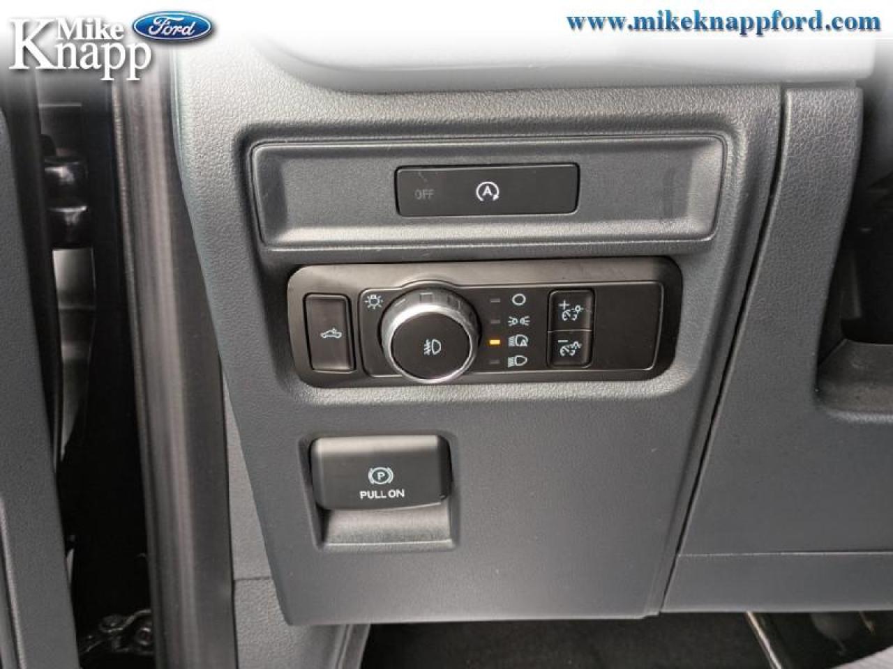 2025 Ford F-150 XLT Photo