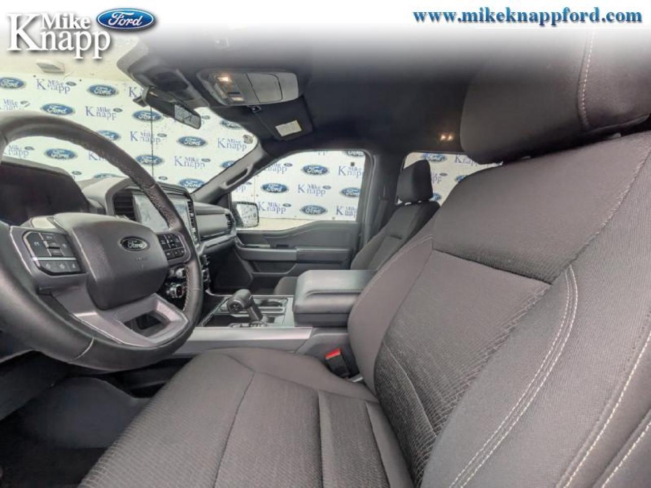 2025 Ford F-150 XLT Photo