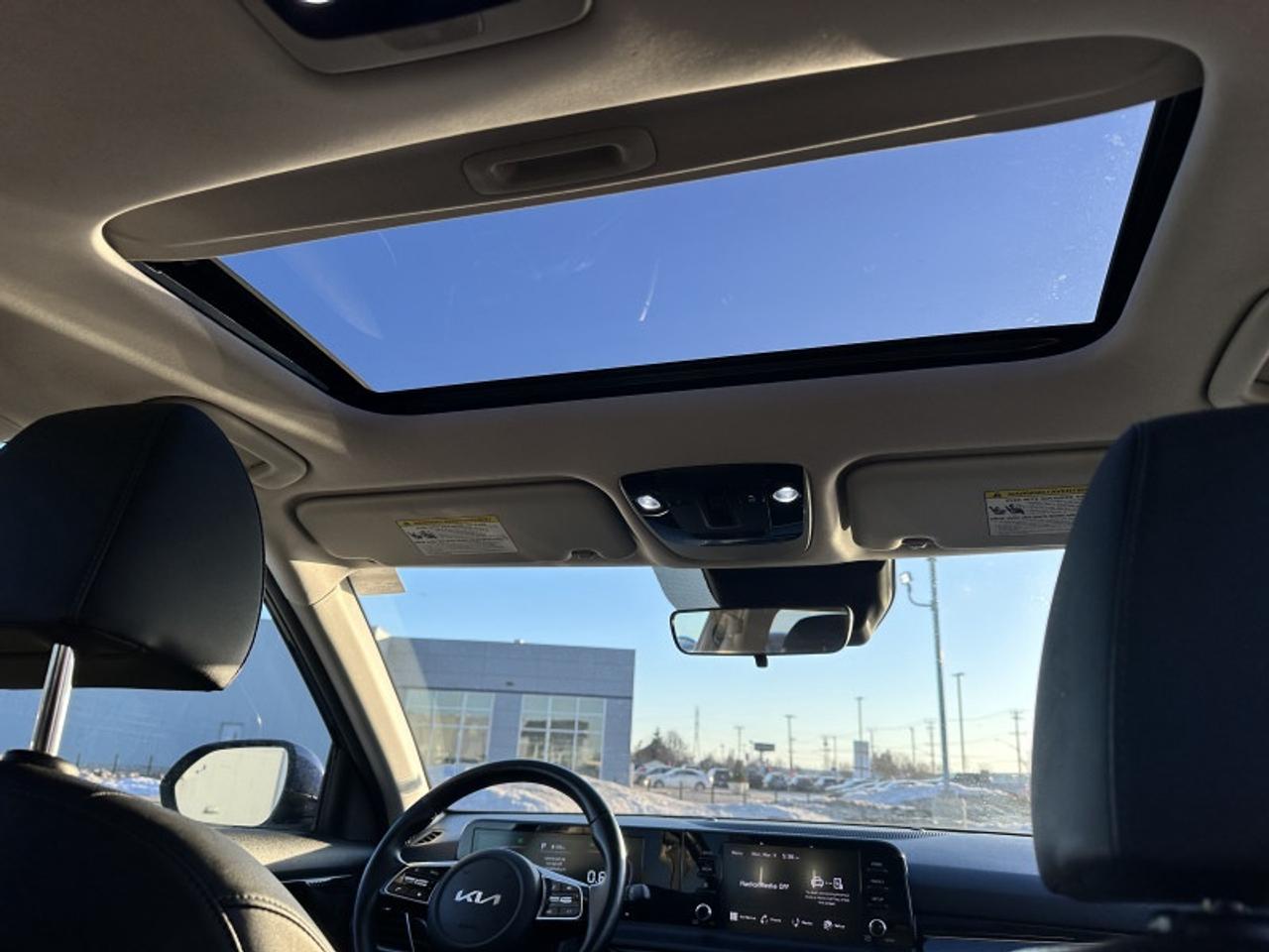 2024 Kia Seltos EX Photo