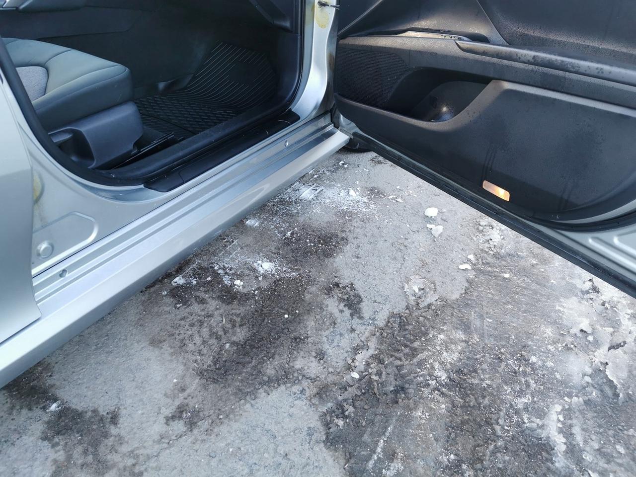 2019 Toyota Camry LE Photo