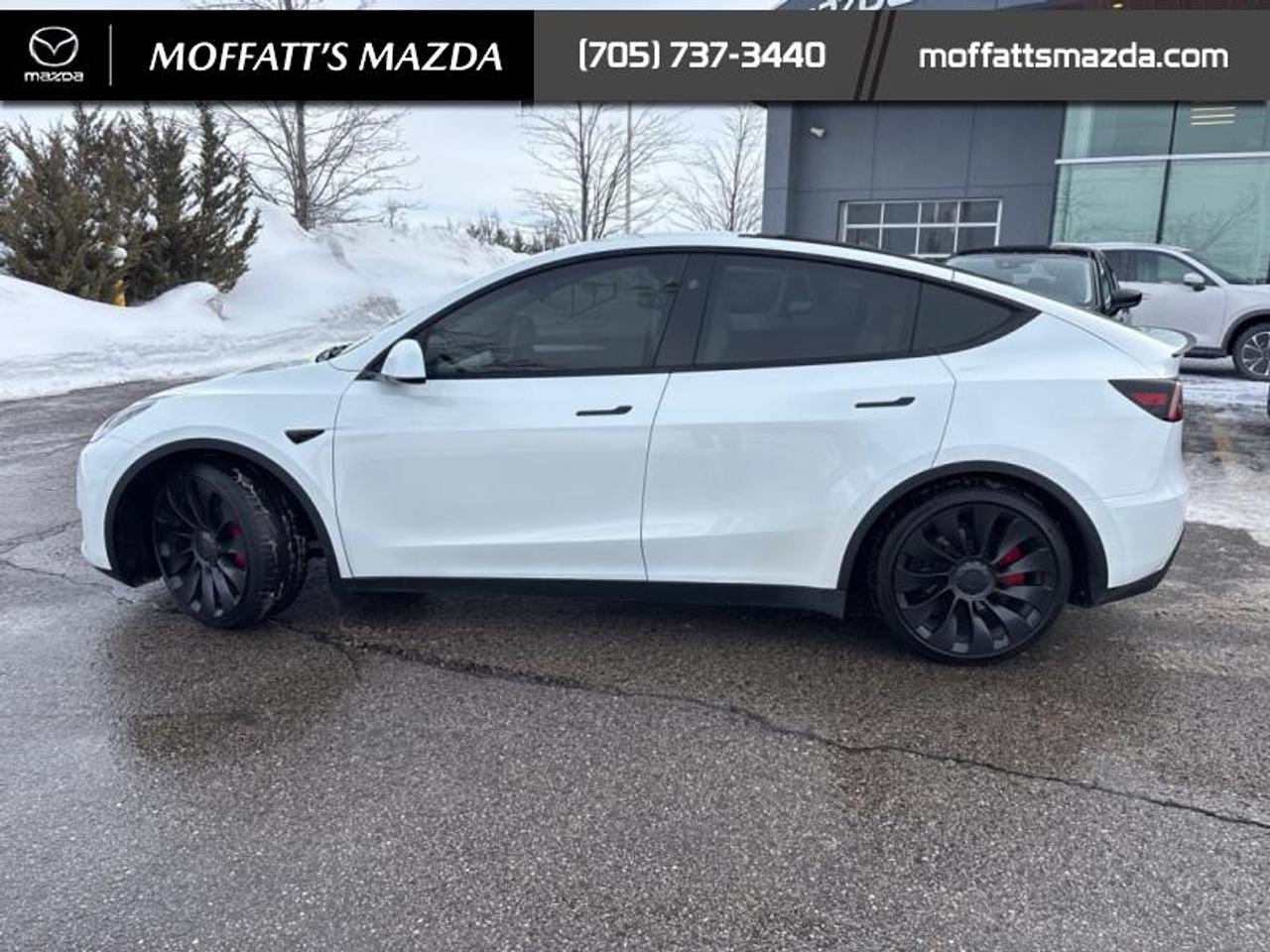 2025 Tesla Model Y PERFORMANCE Photo